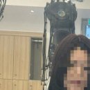 로이드밤 대구동성로점