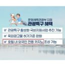 대구 동성로에 &#34;외국인 전용 카지노&#34; 추진 중이라 함 이미지