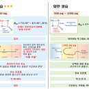 섹칼슘 이미지