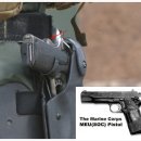 (주)대원세이프티 | MEU(SOC) Pistol