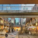 자파브루어리(JAFA Brewery) | 서울 성수 IPA 맛집 [JAFA BREWERY} #성수브루어리 #인도퓨전 #자파브루어리