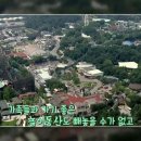 때때로막창 | 생생정보 용인 테마 여행 1124