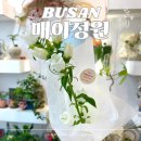 매이정원 | 매이정원 부산 명지 꽃집 국제신도시 한송이 꽃다발 추천 내돈내산
