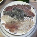 [창원 대방동 맛집] 금보횟집 • 2인 모듬회
