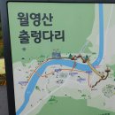 2022. 09. 03 금산 코스모스 길_금산 월령산 출렁다리 산행(2편) 이미지