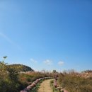 유수지공원주차장 화장실 | (여행) 대구 가을 가볼만한곳 /갈대밭 명소 - 대명유수지