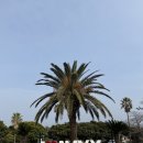 안골2길 9-7 | 제주공항 근처 제주해군호텔 N회차 후기