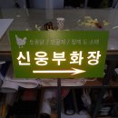 신흥부화장 이미지