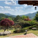 명품 공인중개사사무소 이미지