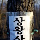 용천골 | 가야산 환종주 산행 후기