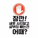 키즈고 점핑클럽 이미지