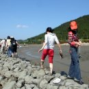 하저어촌체험마을 이미지