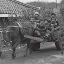 달구지마을 이미지