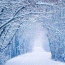 바람아래 이미지