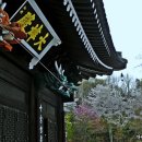 우면산 (남태령 정각사) 이미지