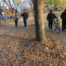 [춘천여행]낙엽의 거리, 낭만의 거리 춘천의 공지천 ＜황금비늘테마거리＞ 이미지