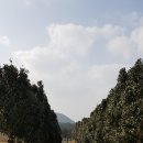 꿈자라다 이미지