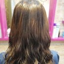 헤어도도(DODO) 이미지