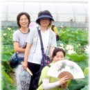 충현서원 이미지