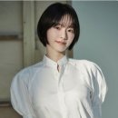스테디헤어 이미지