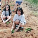 해성2농장 이미지