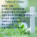 대경셀 네이버블로그
