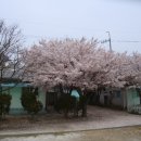 신시도초등학교 이미지