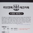 러브애견미용 이미지