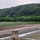 동막골민물장어 이미지