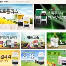 천기초맛있는허브건강기능식품전문매장 | 하이웰 초유 츄어블 나웰 뉴질랜드 직구 후기