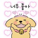 메디칼디 이미지