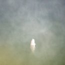 황금낚시 이미지