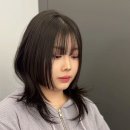 젤라 이미지