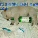 예
