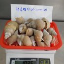 수산냉동 이미지