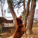 금옥이네 이미지