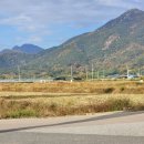 수북면사무소 이미지