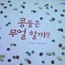 콩들의 이야기 이미지