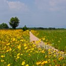 강변공원 이미지
