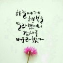 거복 Daum카페