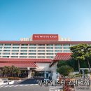 제이앤피수영장(마린센텀점) | 부산 웨스틴 조선호텔 까밀리아 조식 수영장 라운지 후기