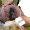 온요양병원 이미지