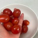 우지농장 이미지