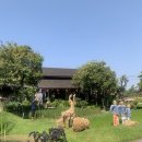 스테이50100 이미지