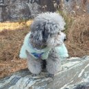 진서동물병원 이미지