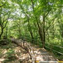 바라산자연휴양림 이미지