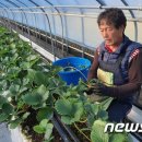 일산1리 이미지