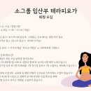 라나요가명상 | [공지] 분당 구미동 소그룹 임산부 요가 안내