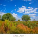 금호강2 이미지