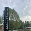 감꽃마을